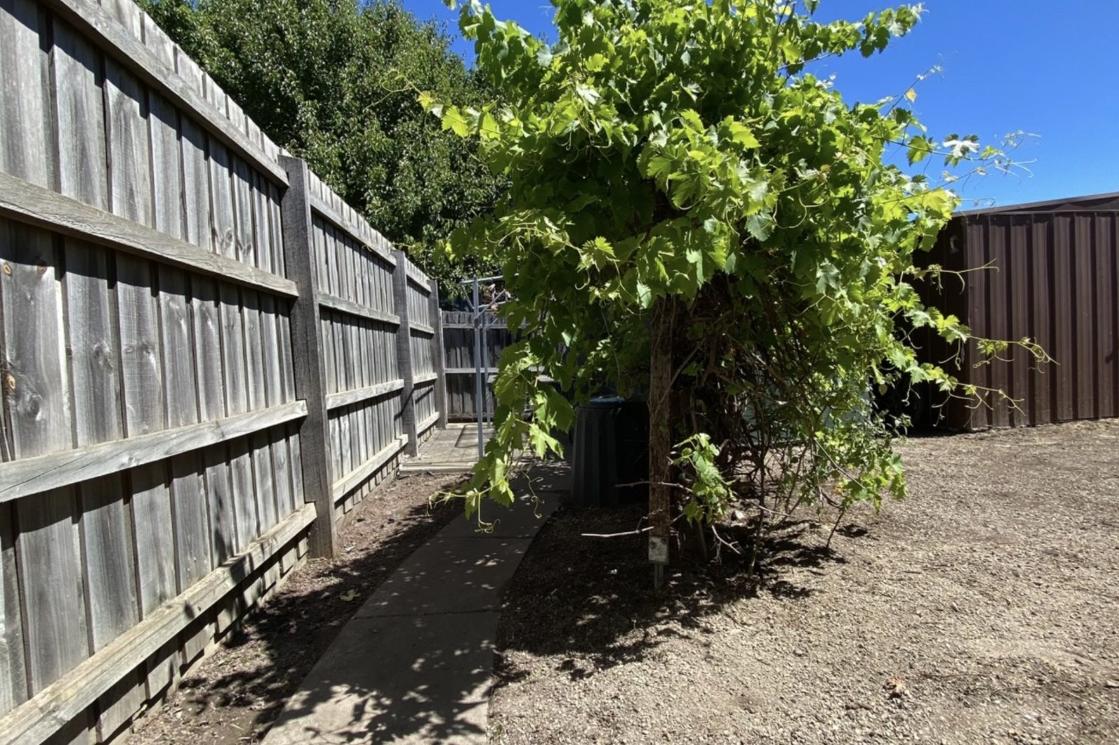 Recent garden project