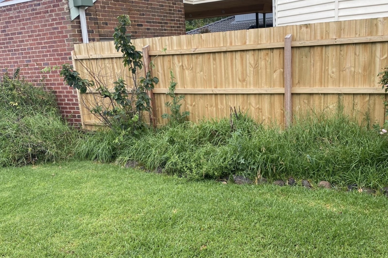 Recent garden project